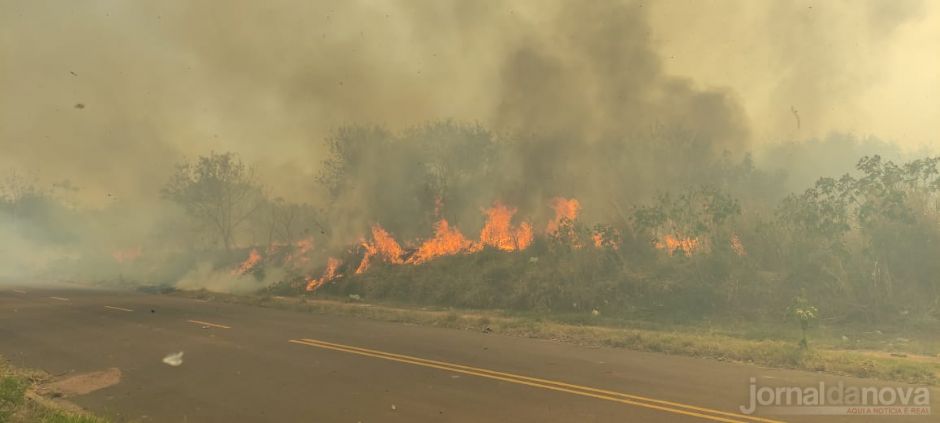 Vídeo: Fogo consome mata e terrenos baldios em Nova Andradina