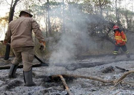 Estão suspensas todas as autorizações de ''queima controlada'' no Pantanal