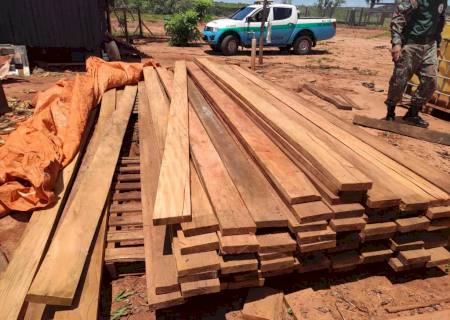 PMA autua infratora em R$ 51 mil por degradação de área florestal protegida em Eldorado