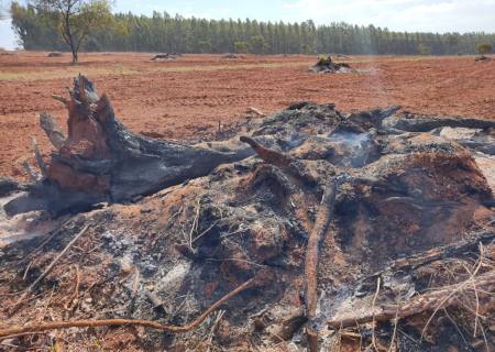 Vídeo: Paranaense é autuado em R$ 112 mil por incendiar 160 hectares para plantio de lavoura