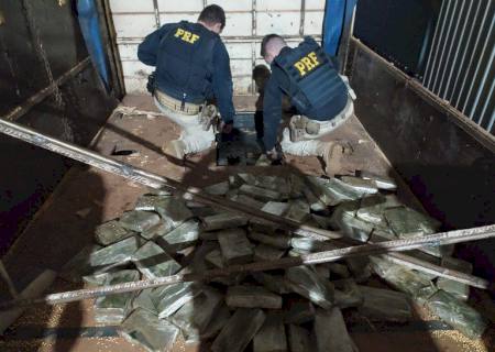 Motorista é preso com carga de cocaína avaliada em R$ 40 milhões em MS