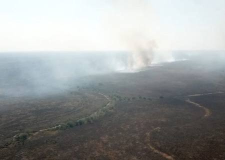 Polícia Ambiental autua infrator em R$ 1,17 milhão por incêndio em uma área no Pantanal da Nhecolândia