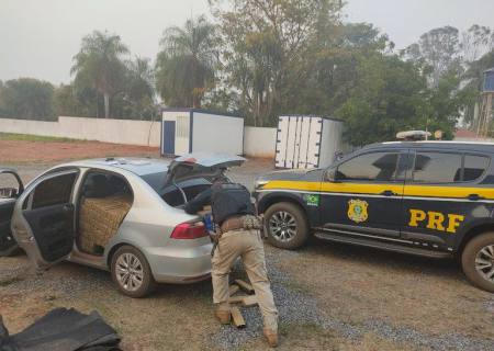 Traficante é preso pela PRF com carga de maconha em Guia Lopes da Laguna