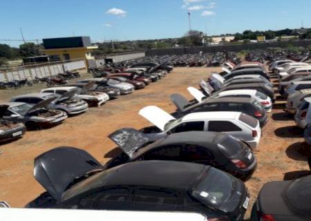 Detran abre visitação de 83 lotes para desmontagem quarta-feira; três leilões estão em andamento