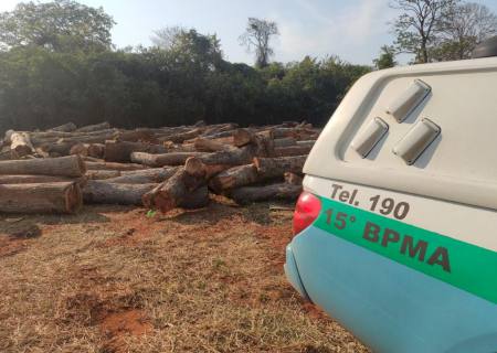 Em Santa Rita do Pardo, PMA autua arrendatário paulista por derrubar árvores e enterrar a madeira