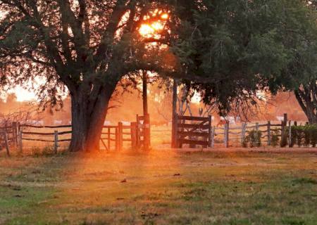 Turismo rural: saiba como oferecer na sua propriedade