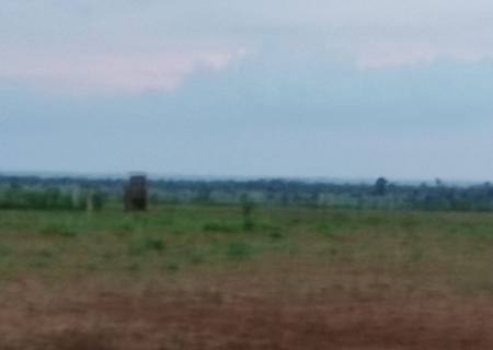 Aeronave cai na zona rural de Batayporã