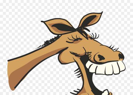 O Mata-burro