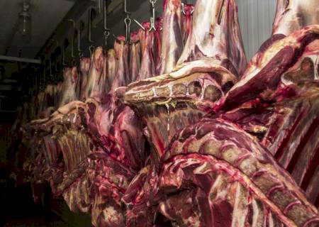 China aceitará carne bovina do Brasil certificada até 4 de setembro
