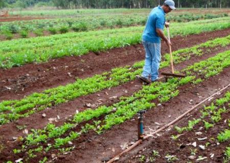 Governo estrutura cadeia produtiva e beneficia 70 mil famílias de pequenos agricultores