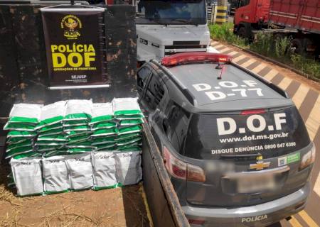 Caminhão que seguia para o Paraná com agrotóxicos contrabandeados é apreendido pelo DOF