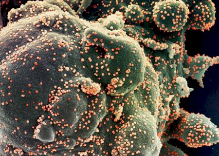 Covid-19: cientistas dizem que Ômicron é alerta da ameaça do vírus