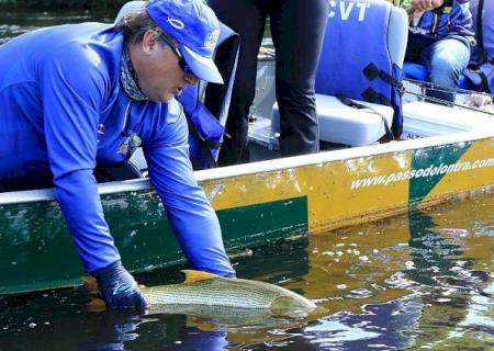 Pesque e solte está liberado a partir desta terça-feira somente nas calhas dos rios Paraguai e Paraná
