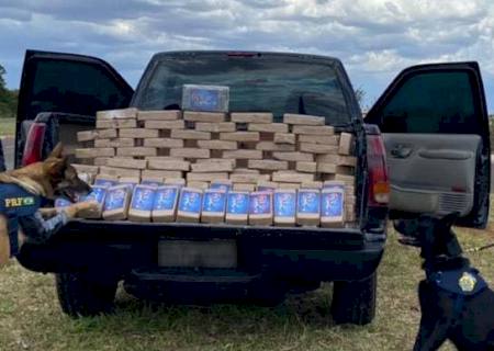 Ação conjunta apreende 126 kg de pasta base de cocaína em Campo Grande