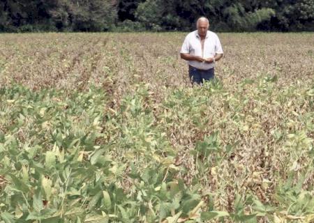 Decreto de emergência do governo ajuda produtores rurais a reduzir prejuízos em função da estiagem