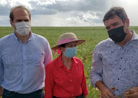 Eduardo Riedel e ministra Tereza Cristina avaliam perdas na safra em função da estiagem na região sul do Estado