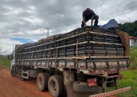 Polícia Ambiental apreende caminhão com carga de madeira irregular em Cassilândia