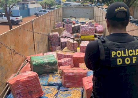 Apreensões de drogas do DOF sobem 300% na primeira quinzena de 2022