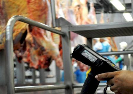 Programa Precoce MS ajuda Mato Grosso do Sul a produzir a melhor carne do Brasil