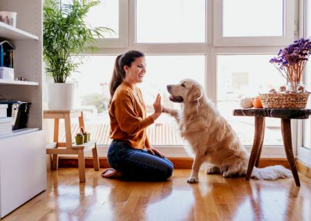 Cuidados com cachorros: conheça os alimentos proibidos para os cães