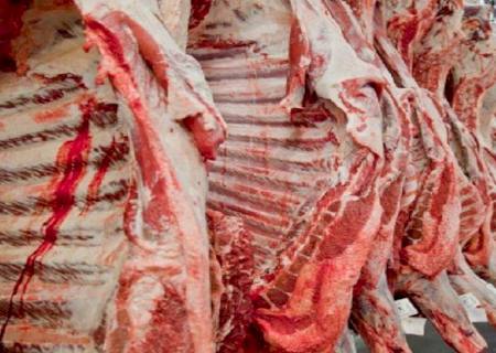 Mato Grosso do Sul garante a excelência da carne com Programa Precoce MS