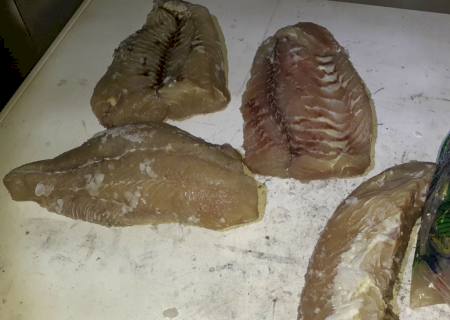 Polícia Ambiental e Imasul autuam dono de pesqueiro em R$ 2,4 mil por pescado sem origem