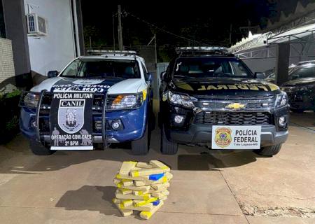 Ação conjunta da PF e PM apreende 25 kg de maconha em Brasilândia