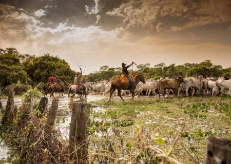 Mato Grosso do Sul destaca Pantanal e apoia Prêmio Turismo Sustentável