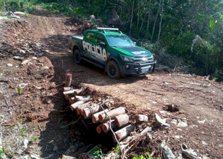Polícia Ambiental de Miranda autua infrator por abertura ilegal de estrada em sua propriedade em Bodoquena