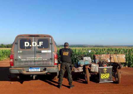 DOF apreende três motos com mais 360 quilos de maconha em Laguna Carapã