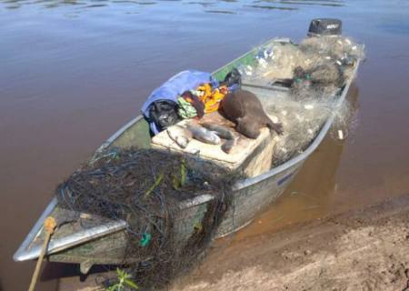 Dupla é presa por caça de capivara e pesca predatória no rio Ivinhema