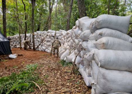Senad apreende mais de 50 toneladas de maconha na fronteira