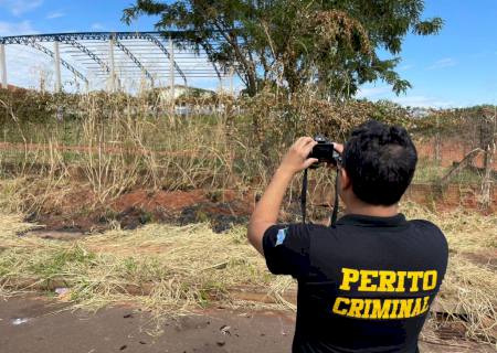 Mulher é presa por atear fogo em vegetação no Horto Florestal