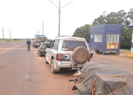 PMA de Naviraí autua em R$ 2 mil dois paranaenses por caça de javali sem a licença