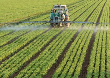 Portaria regulamenta critérios para priorizar análise de registros de agrotóxicos