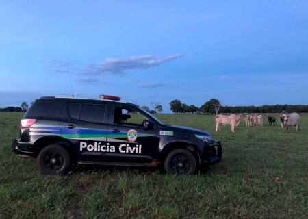Polícia Civil desarticula quadrilha que furtava gados e prende mandante do crime em Brasilândia