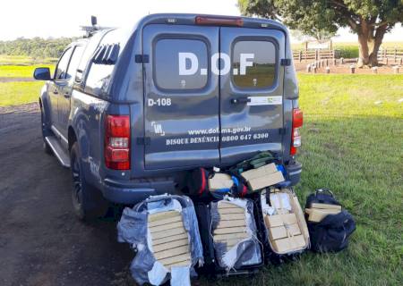 DOF intercepta quatro passageiros de ônibus com drogas durante o fim de semana