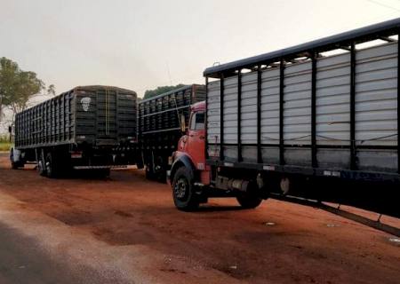 Iagro suspende obrigatoriedade do uso do aplicativo de transporte de animais