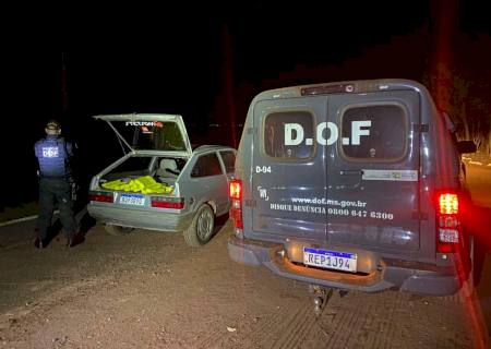 DOF prende casal transportando drogas na zona rural de Amambai