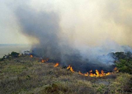 ''Queima controlada'' está proibida até o final do ano em Mato Grosso do Sul