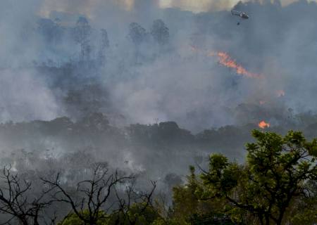 Decreto suspende queimadas em todo território nacional