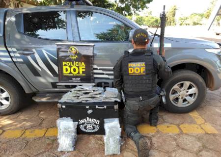 DOF apreende drogas em ônibus e van em Ponta Porã e Amambai neste fim de semana