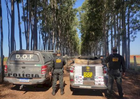 DOF apreende carga de cigarros contrabandeados na zona rural de Bataguassu
