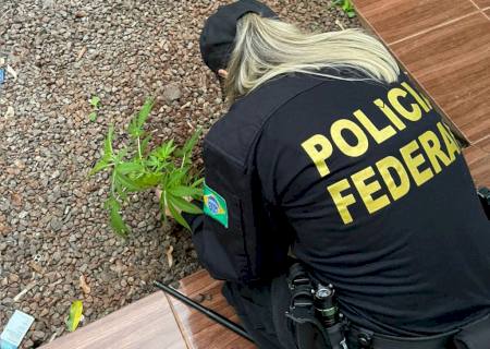 PF descobre que traficantes transportavam drogas do Paraguai para o Brasil usando transporte de aplicativos