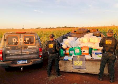 DOF apreende carregamento de agrotóxicos contrabandeados avaliado em quase R$ 4 milhões