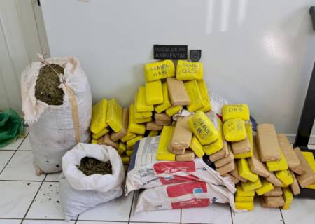 Polícia Ambiental aborda veículo carregado com maconha em Naviraí