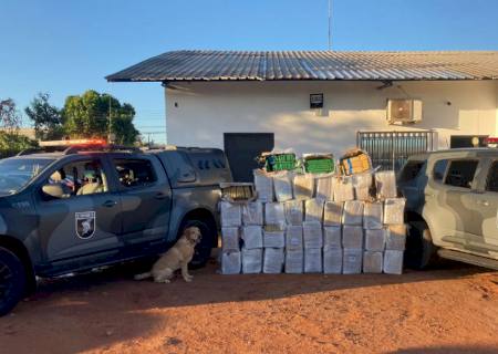 Choque apreende quase 1 ton de maconha que seria despachada para São Paulo e Goiás