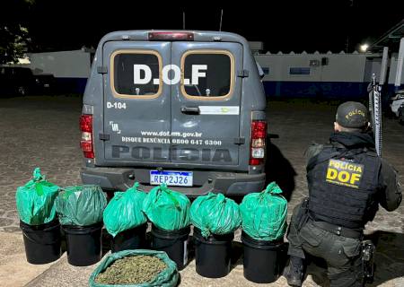 DOF apreende droga avaliada em R$ 200 mil que era transportada em bagageiro de ônibus