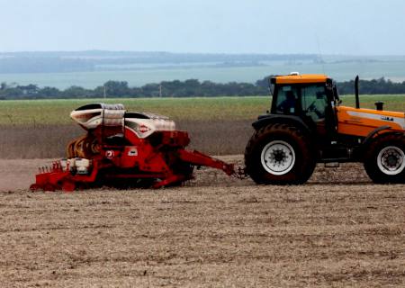 Safra de soja deve crescer 2,5% em área e produção pode saltar mais de 40%