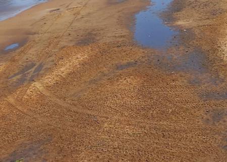 PMA identifica e autua 21 ''jipeiros'' em R$ 210 mil por ações de degradações de áreas protegidas no Pantanal